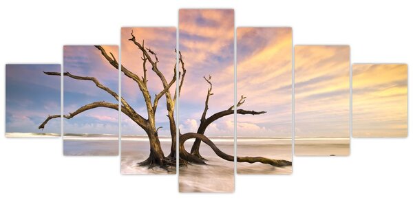 Obraz stromu v oceánu (210x100 cm)