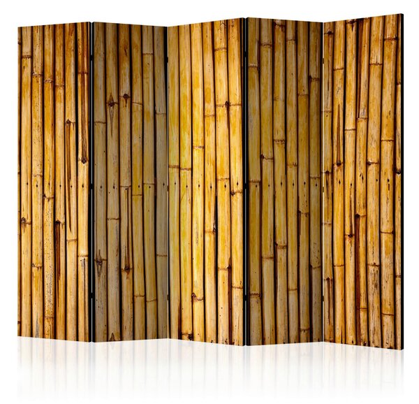 PARAVÁN, 225/172/3 cm artgeist, Online Only