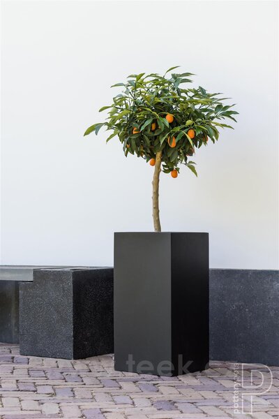 Pottery Pots Venkovní květináč obdélníkový Bouvy XXL, Black (barva černá), kolekce Natural, kompozit Fiberstone, d 50 cm x š 50 cm x v 120 cm, objem cca 300 l