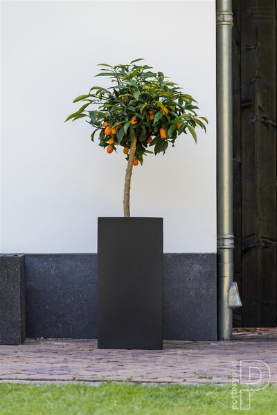 Pottery Pots Venkovní květináč obdélníkový Bouvy XXL, Black (barva černá), kolekce Natural, kompozit Fiberstone, d 50 cm x š 50 cm x v 120 cm, objem cca 300 l