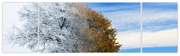 Obraz - Změna ročního období (170x50 cm)