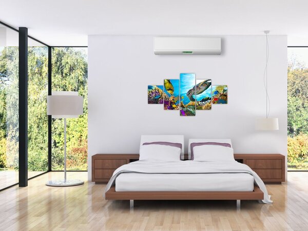 Obraz korálového útesu (125x70 cm)