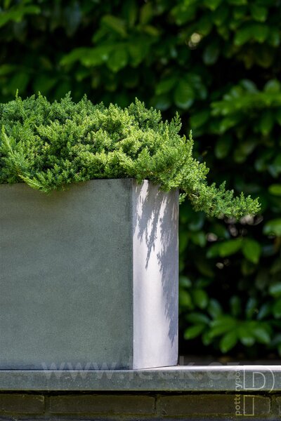 Pottery Pots Venkovní květináč obdélníkový Jumbo Jort M Extended, Grey (barva šedá), kolekce Natural, kompozit Fiberstone, d 200 cm x š 60 cm x v 50 cm, objem cca 600 l