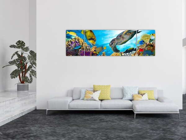 Obraz korálového útesu (170x50 cm)