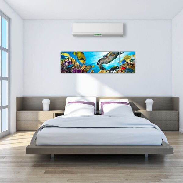 Obraz korálového útesu (170x50 cm)
