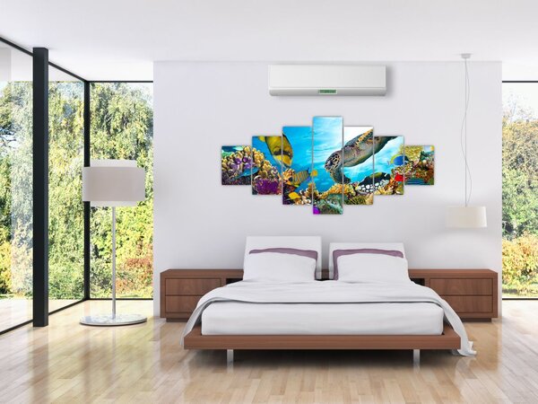 Obraz korálového útesu (210x100 cm)
