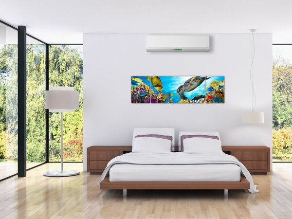Obraz korálového útesu (170x50 cm)