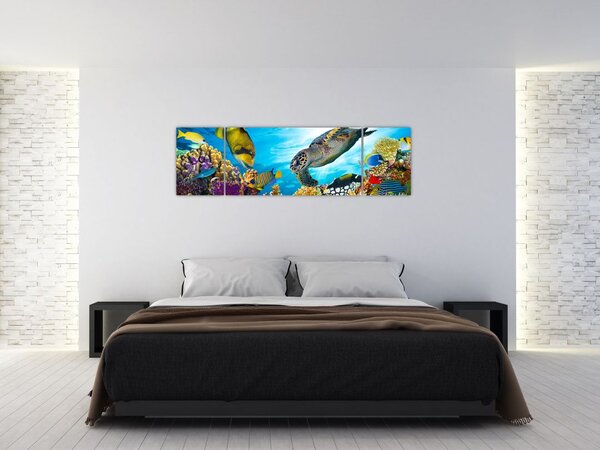 Obraz korálového útesu (170x50 cm)