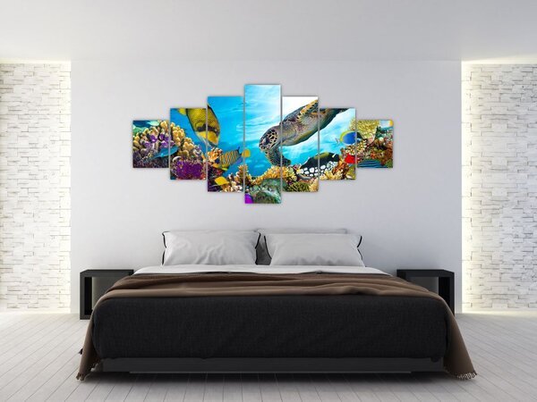 Obraz korálového útesu (210x100 cm)