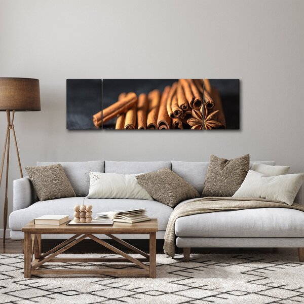 Obraz skořice (170x50 cm)