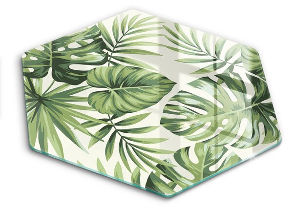Skleněná deska do kuchyně Ilustrace monstera listy