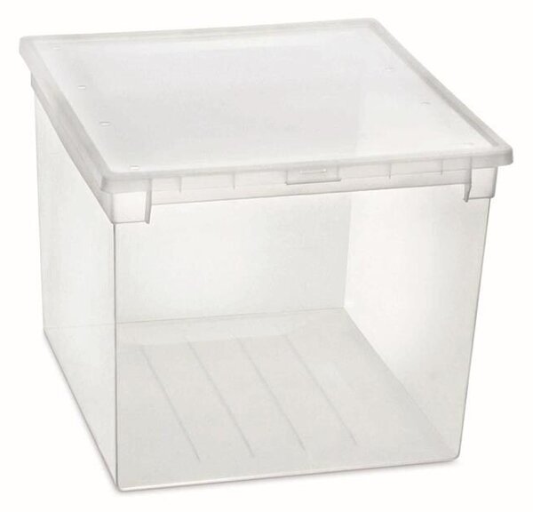 ADEO Úložný box s víkem, transparentní, na ložní prádlo TERRY 52l - 38 x 52 x 31 cm