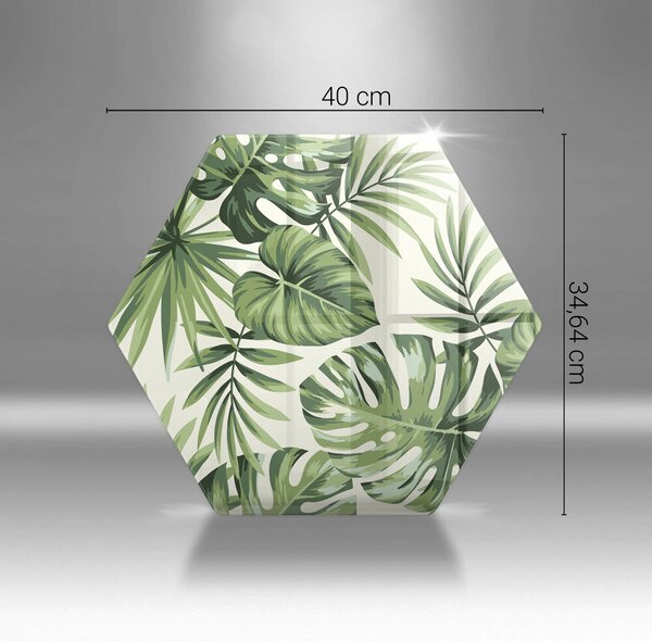 Skleněná deska do kuchyně Ilustrace monstera listy