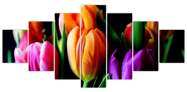 Obraz tulipánů na černém pozadí (210x100 cm)