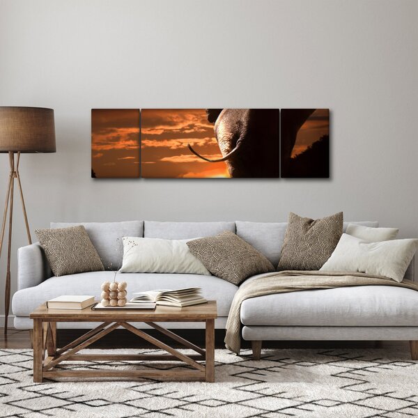 Obraz slona (170x50 cm)