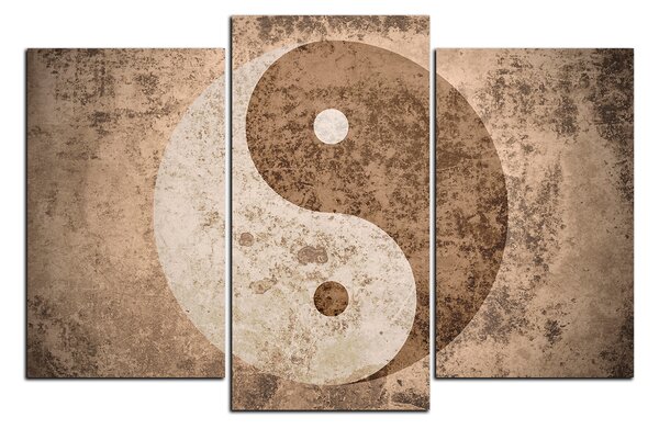 Obraz na plátně - Jin a jang symbol 1170C (90x60 cm)