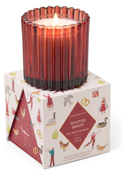 Vonná svíčka Red Winter Berry 127 g