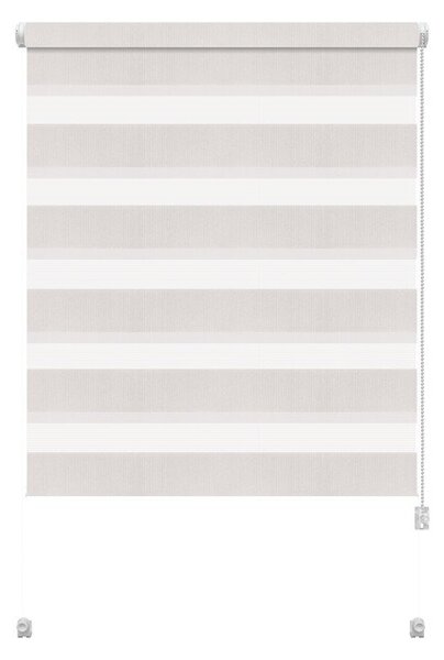 Bílá roleta den a noc 57x150 cm Zebra – Gardinia
