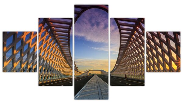Obraz moderní architektury mostu (125x70 cm)