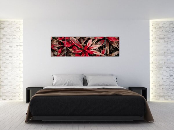 Obraz červených okvětních lístků (170x50 cm)