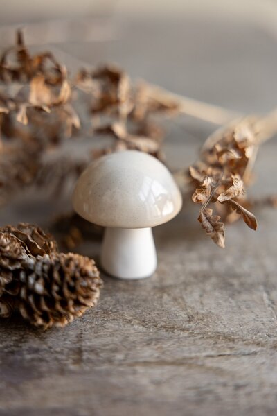 Podzimní dekorace Houba Bovik Beige 5 cm