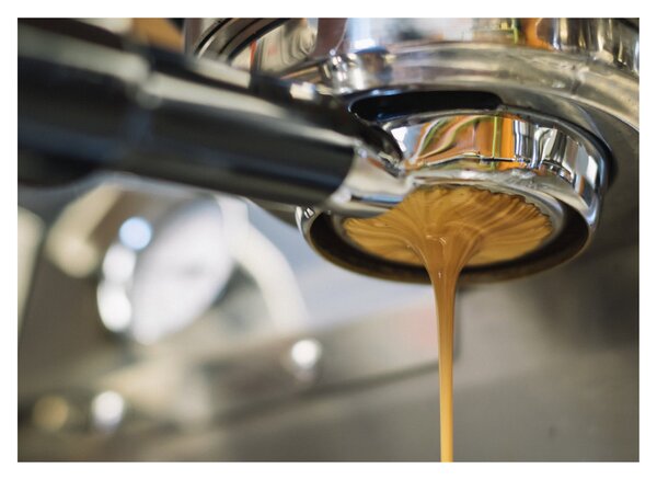 Obraz - espresso (70x50 cm)