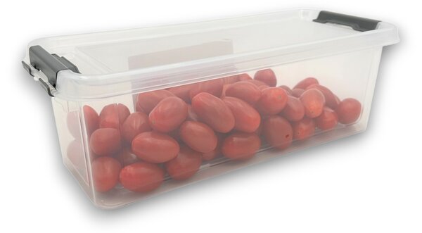 Orion Úložný box, organizér, do lednice (1,8l) FRESH - 28 x 12 x 9 cm