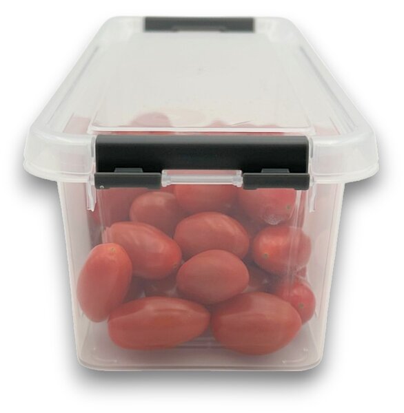 Orion Úložný box, organizér, do lednice (1,8l) FRESH - 28 x 12 x 9 cm