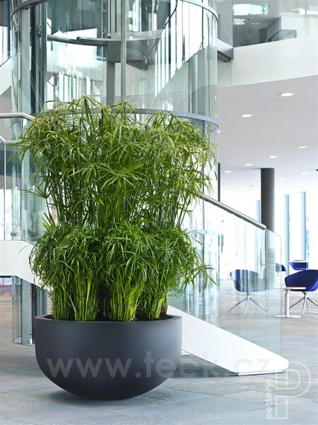Pottery Pots Venkovní květináč kulatý City bowl S, Black (barva černá), kolekce Natural, kompozit Fiberstone, průměr 92 cm x v 50 cm, objem cca 269 l