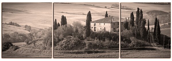 Obraz na plátně - Italská venkovská krajina - panoráma 5156QC (90x30 cm)