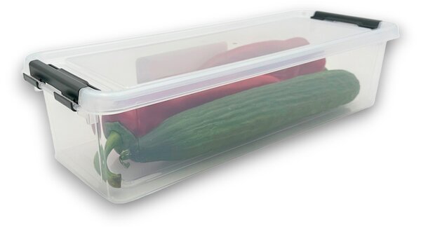 Orion Úložný box, organizér, do lednice (3,5l) FRESH - 36,5 x 14 x 9 cm