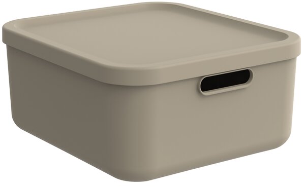 Rotho Úložný box, rovný s víkem, 20l, cappuccino ALBU LIGHT, 40x36x18 cm