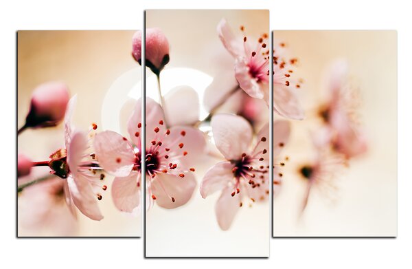 Obraz na plátně - Malé květy na větvi 1173C (90x60 cm)