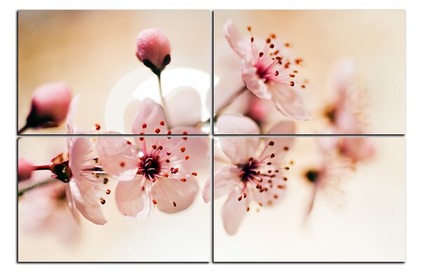 Obraz na plátně - Malé květy na větvi 1173E (90x60 cm)
