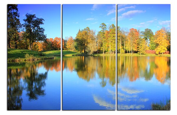 Obraz na plátně - Podzimní park 1175B (90x60 cm )