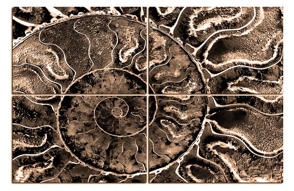 Obraz na plátně - Textura fosílie 1174FE (90x60 cm)