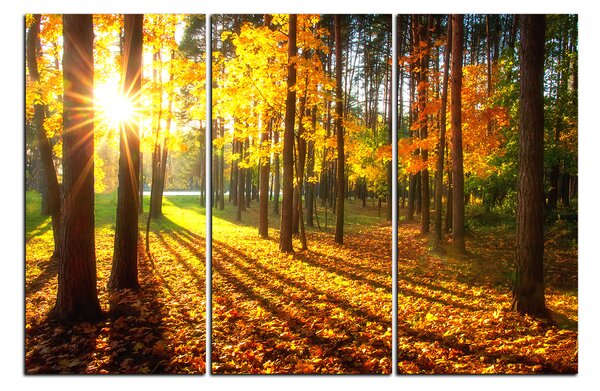 Obraz na plátně - Podzimní les 1176B (90x60 cm )