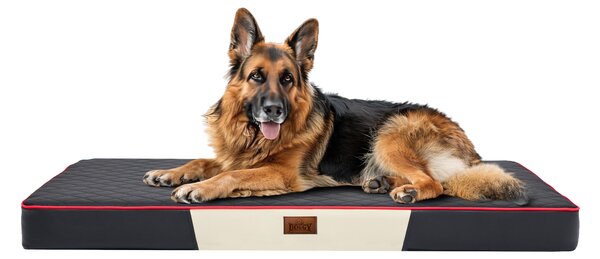 Doggy Matrace pro psy Premium VISCO, černá/černá eko kůže Velikost: M - 80 x 54 x 8cm