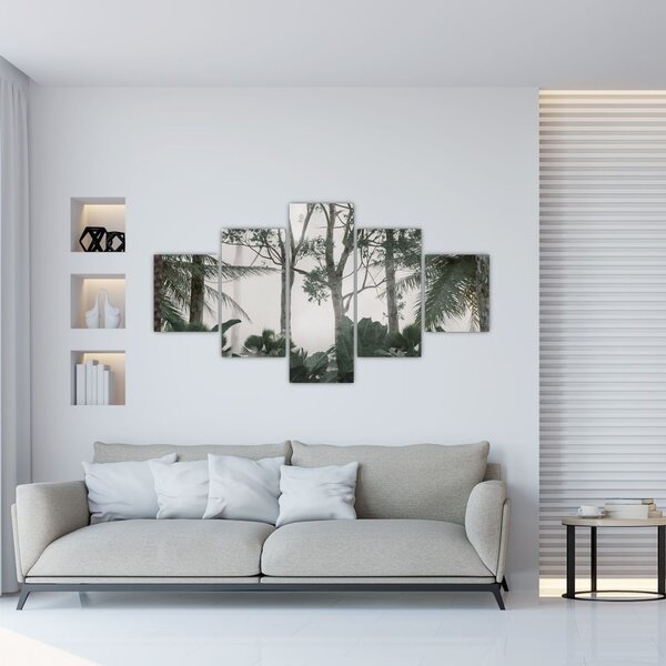 Obraz - Jungle v ranní mlze (125x70 cm)