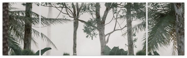 Obraz - Jungle v ranní mlze (170x50 cm)