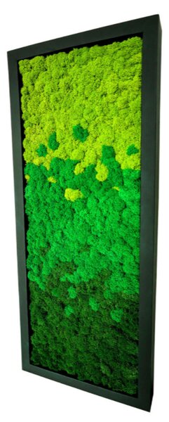 OznTo Podlouhlý obraz Ombre,zelený,2velikosti,3barvy Barva rámečku: Černá, Rozměr rámečku: 25x60cm