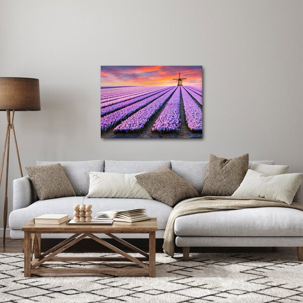 Obraz - květinová farma (70x50 cm)