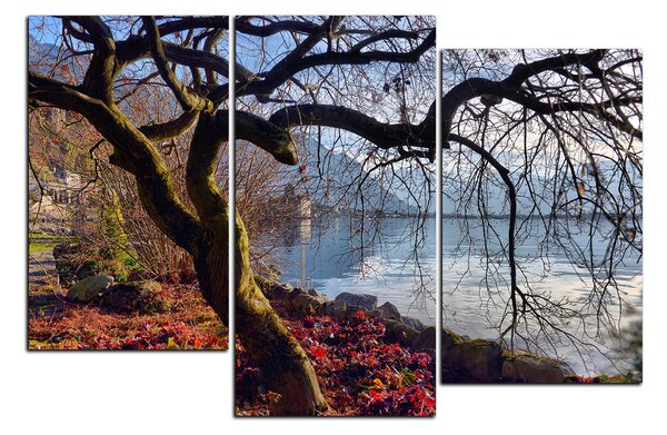 Obraz na plátně - Podzim u jezera 1198D (90x60 cm)