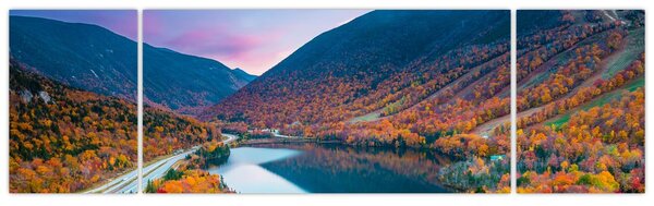 Obraz - White Mountain, New Hampshire, USA (170x50 cm)