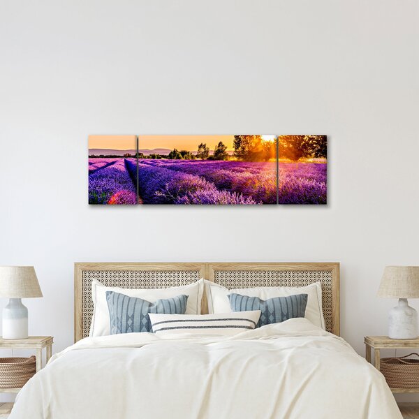 Obraz levandulového pole (170x50 cm)