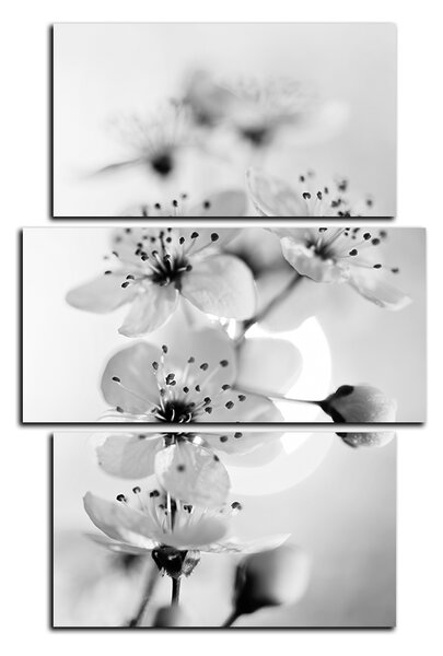 Obraz na plátně - Malé květy na větvi - obdélník 7173QC (90x60 cm)
