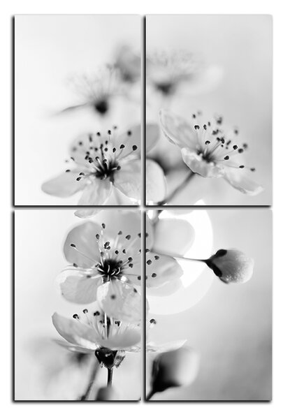 Obraz na plátně - Malé květy na větvi - obdélník 7173QE (90x60 cm)