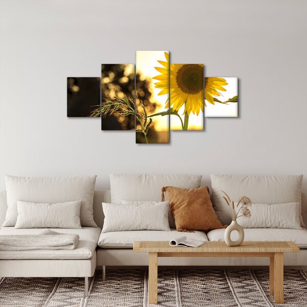 Obraz slunečnice (125x70 cm)