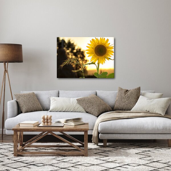 Obraz slunečnice (70x50 cm)
