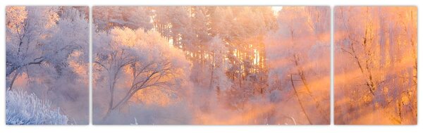Obraz - Mrazivé svítání (170x50 cm)